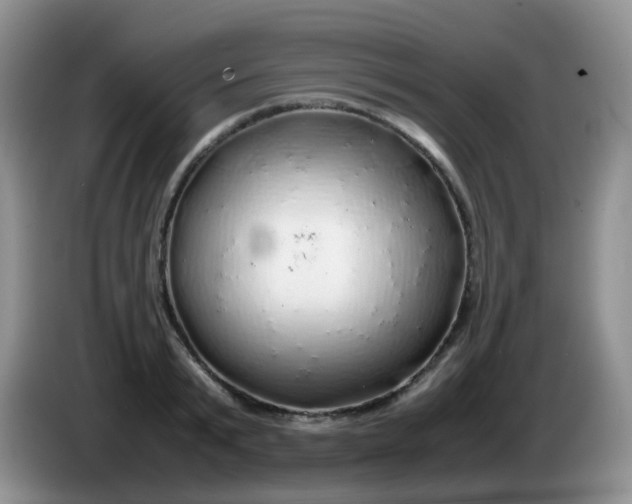 X0000086260799200704122009