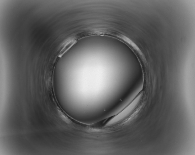 X0000086260801200704122009