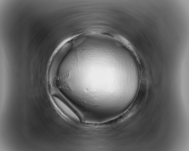 X0000086260803200704122009