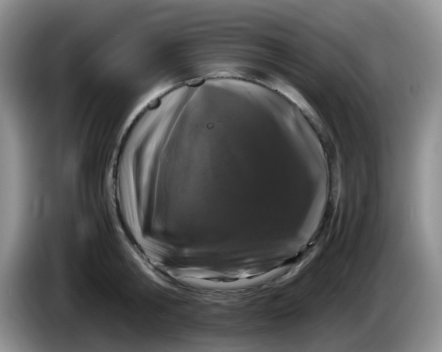 X0000086260806200704122009