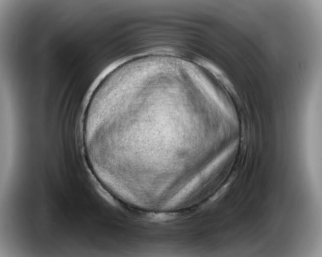 X0000086260808200704122009