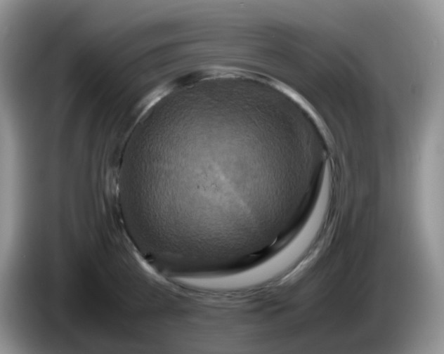 X0000086260809200704122009