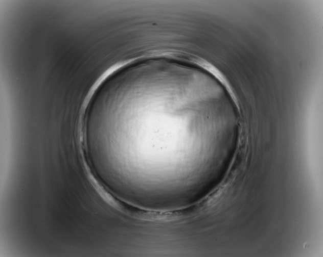 X0000086260811200704122009