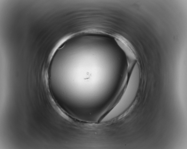 X0000086260812200704122009