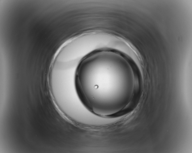 X0000086260813200704122009