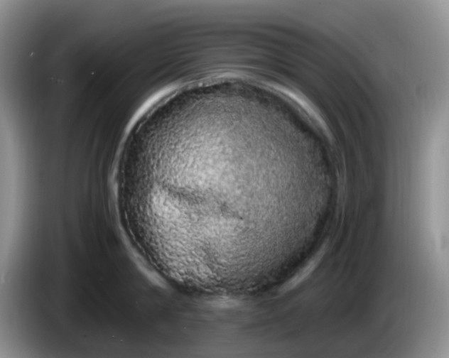 X0000086260814200704122009