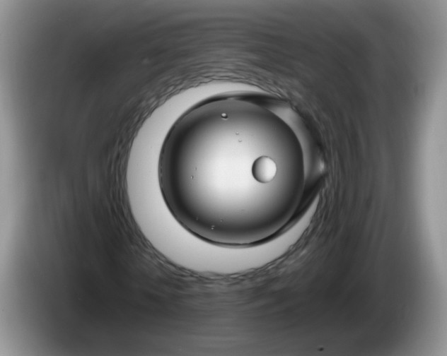X0000086260818200704122008