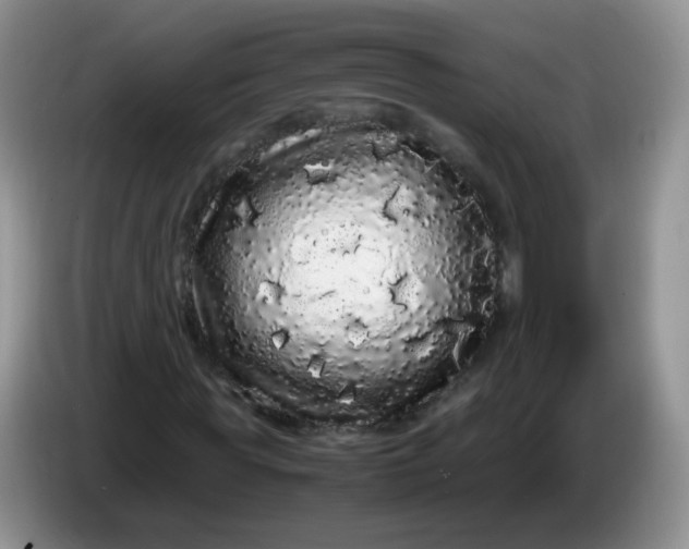 X0000086260819200704122008