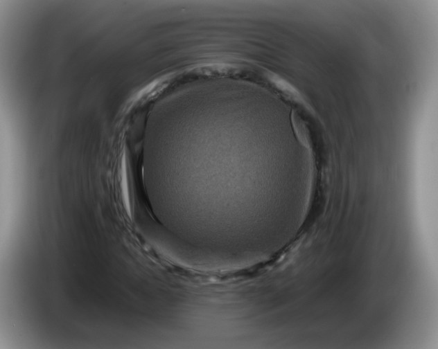 X0000086260822200704122008