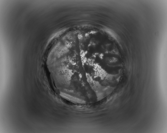 X0000086260823200704122008