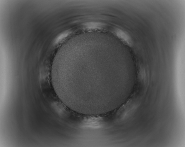 X0000086260824200704122008