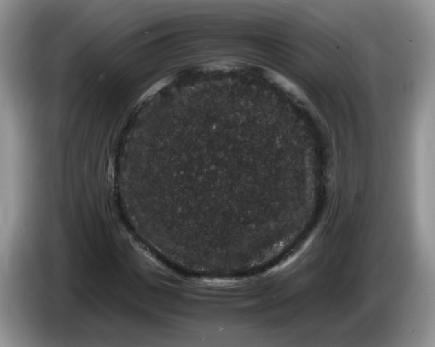 X0000086260825200704122008