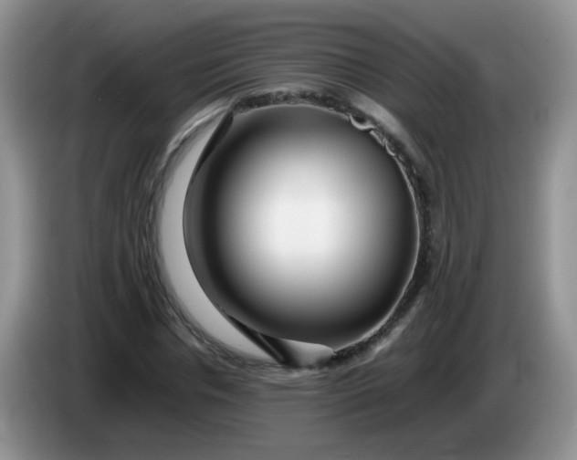 X0000086260826200704122008