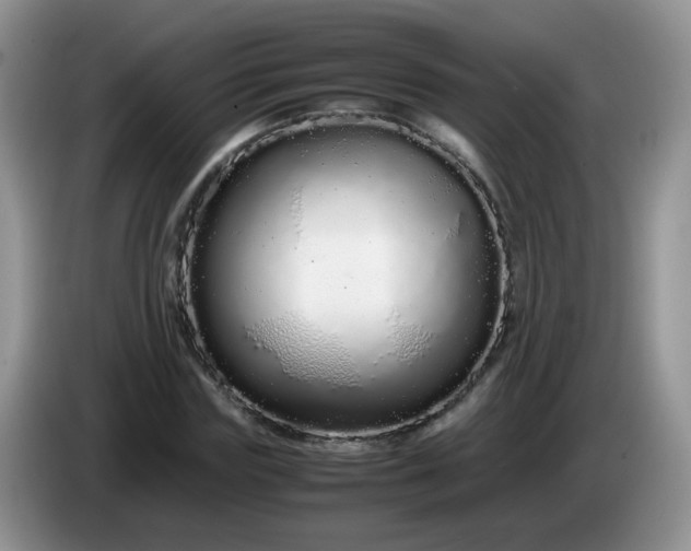 X0000086260827200704122008