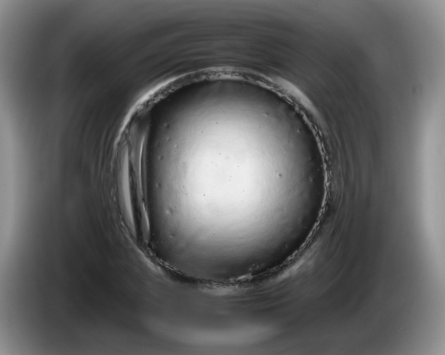 X0000086260831200704122008