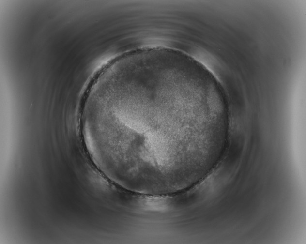 X0000086260832200704122008