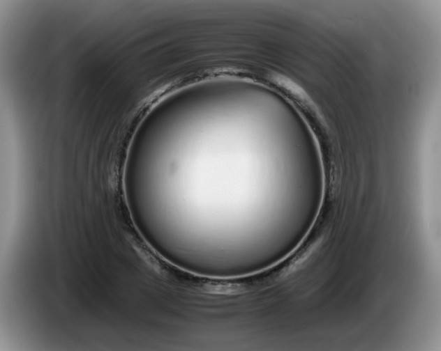 X0000086260833200704122009