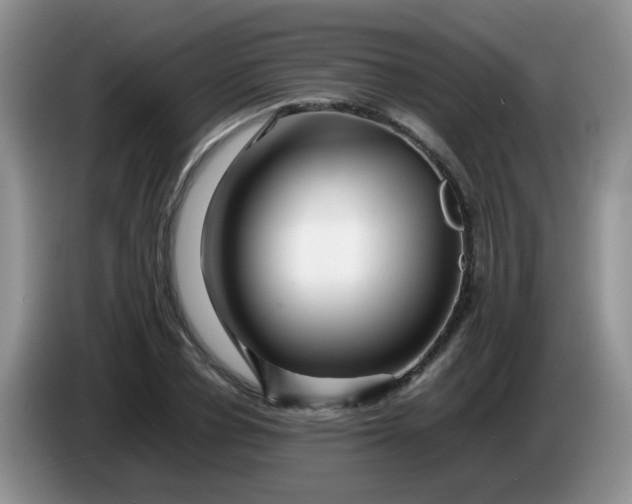 X0000086260834200704122009