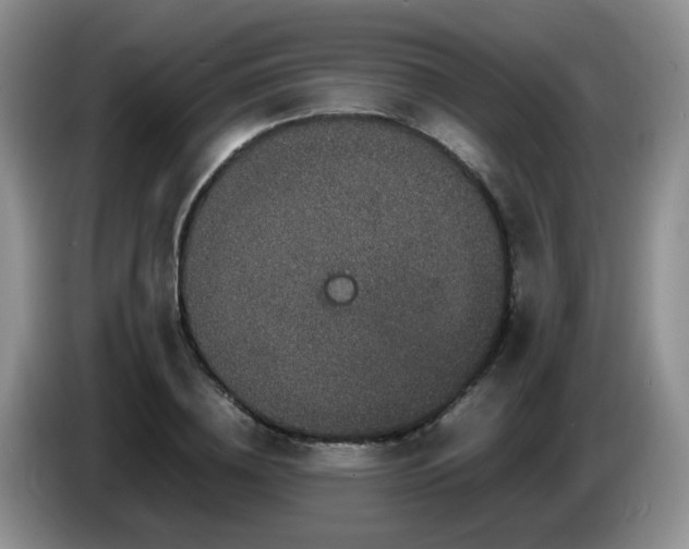 X0000086260836200704122009