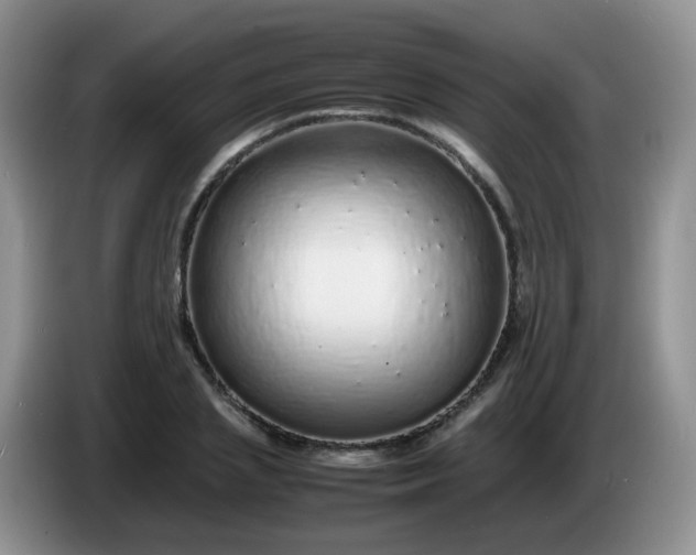 X0000086260837200704122009