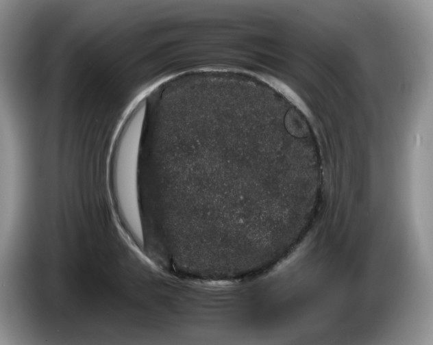 X0000086260839200704122009