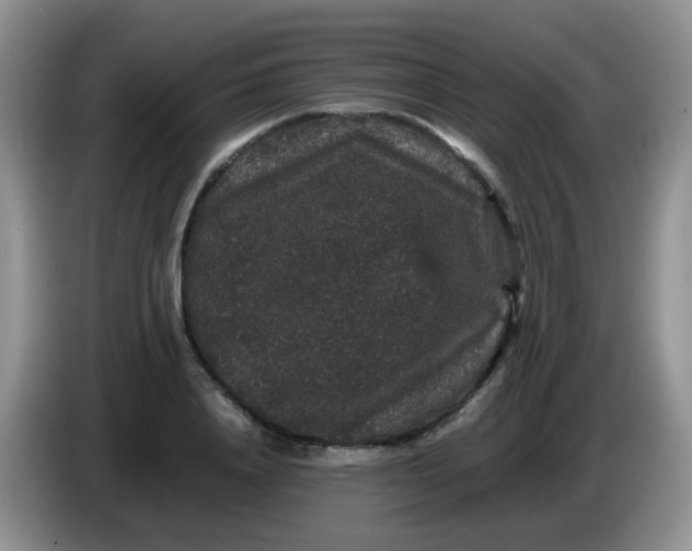 X0000086260840200704122009