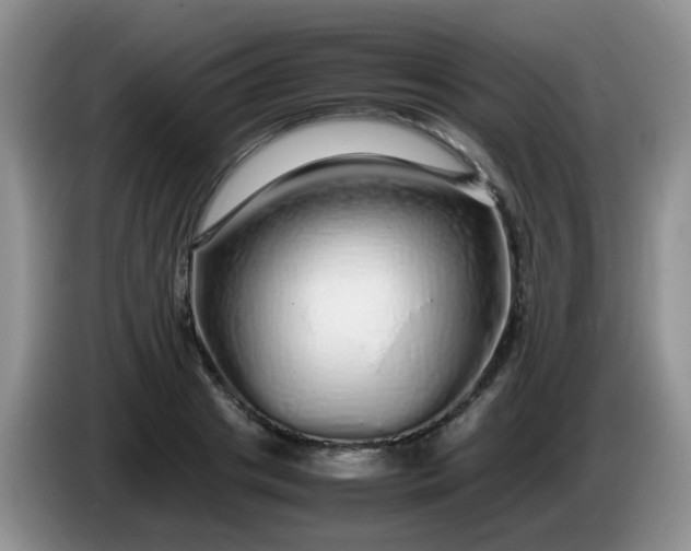 X0000086260841200704122009