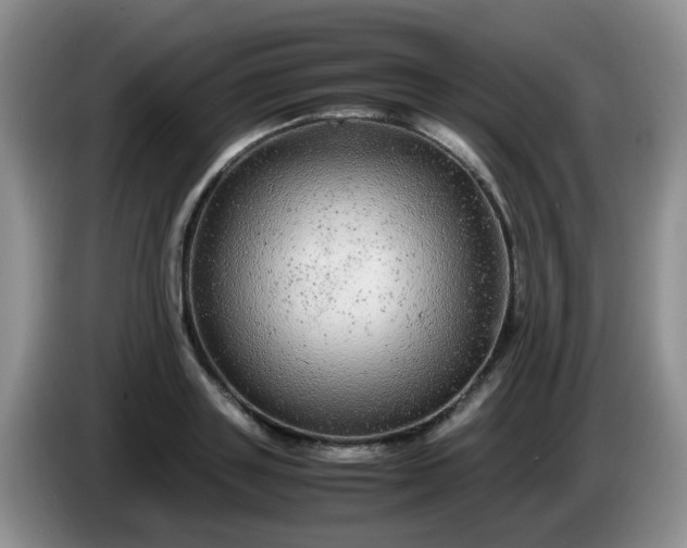 X0000086260843200704122009