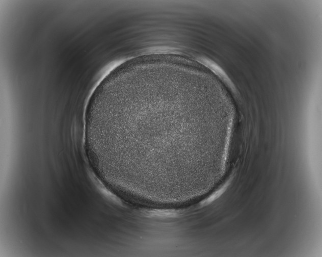 X0000086260844200704122009