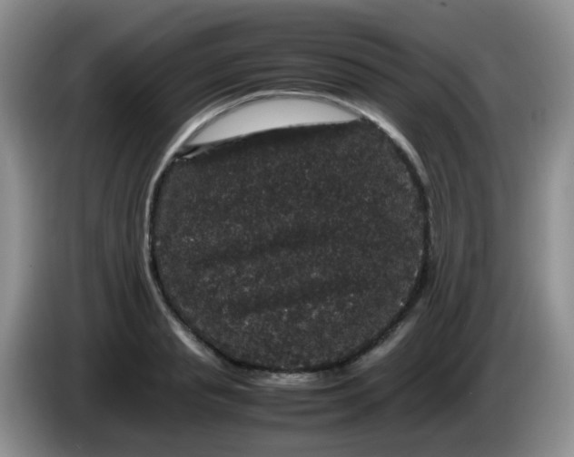 X0000086260845200704122009