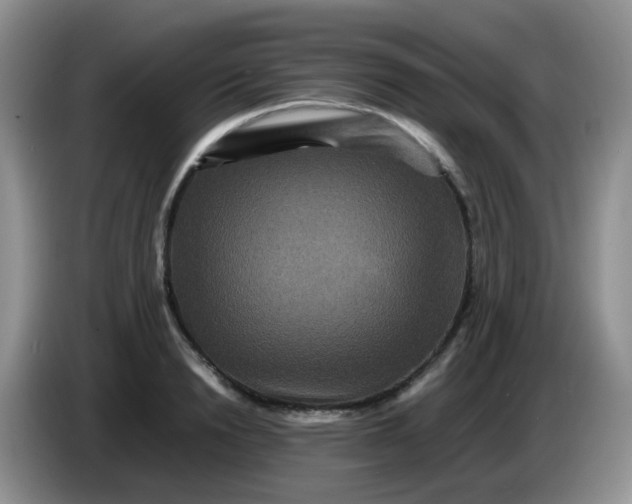 X0000086260846200704122009
