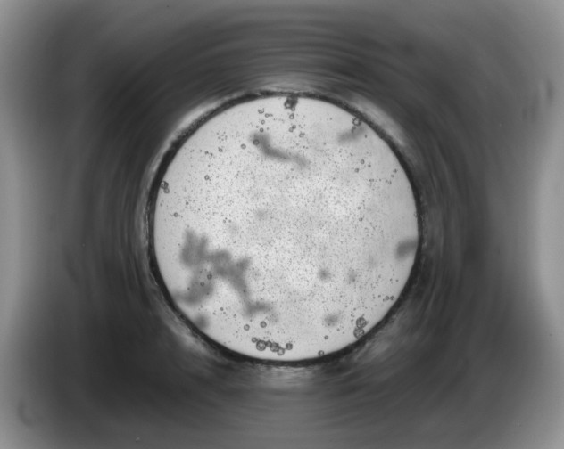X0000086260848200704122009