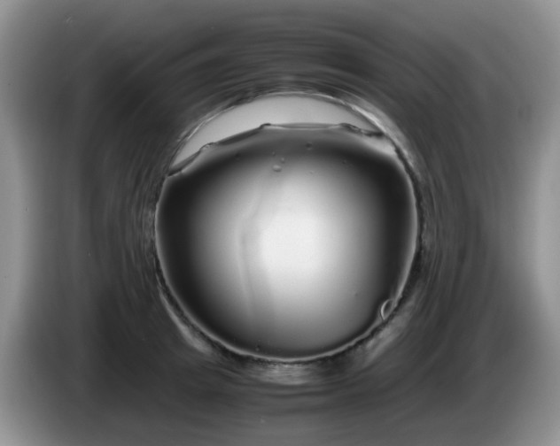 X0000086260849200704122009