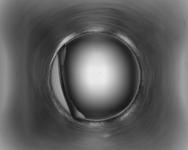 X0000086260850200704122009