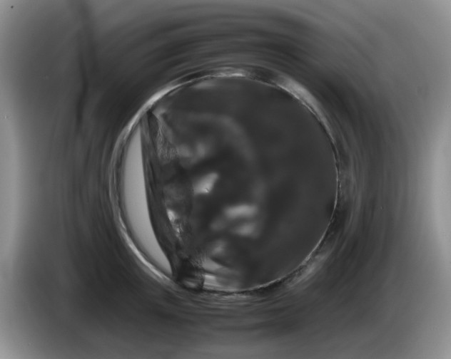 X0000086260851200704122009