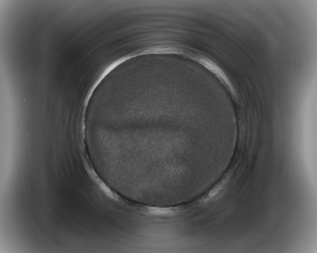 X0000086260852200704122009