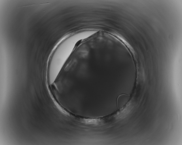 X0000086260853200704122009