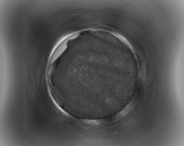 X0000086260855200704122009