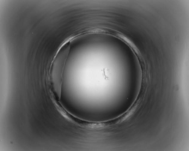 X0000086260858200704122009