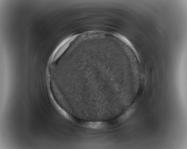 X0000086260859200704122009