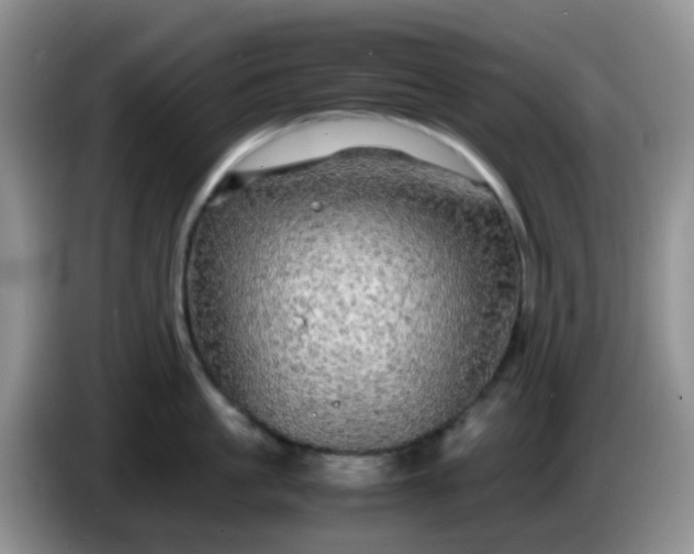 X0000086260861200704122009
