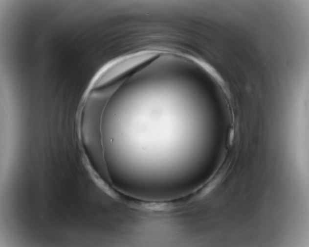 X0000086260862200704122009