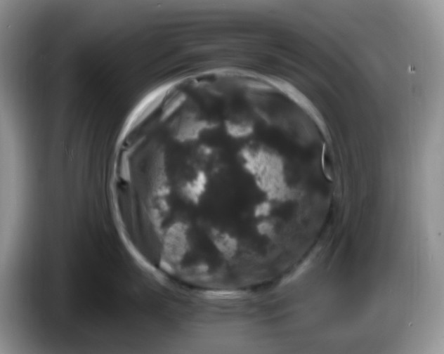 X0000086260863200704122009