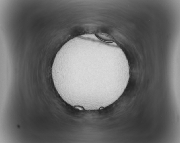X0000086260865200704122008