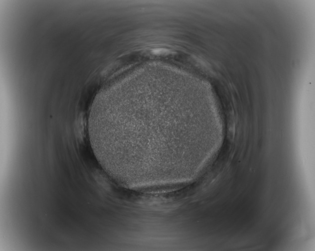 X0000086260866200704122008
