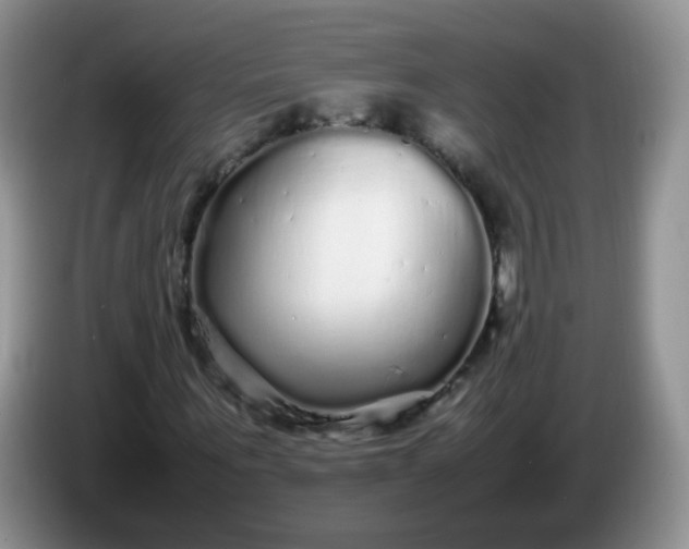 X0000086260867200704122008