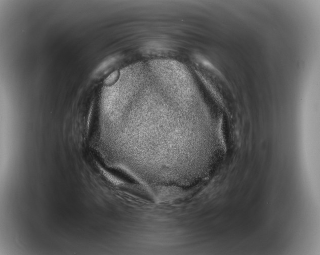 X0000086260870200704122008