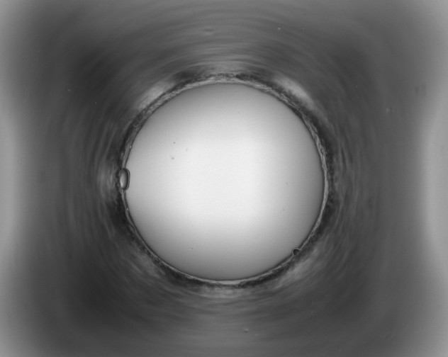 X0000086260873200704122008