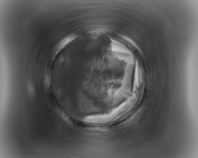 X0000086260874200704122008
