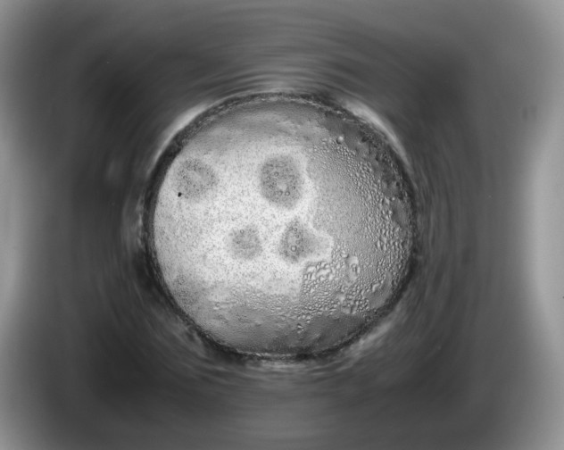 X0000086260875200704122008